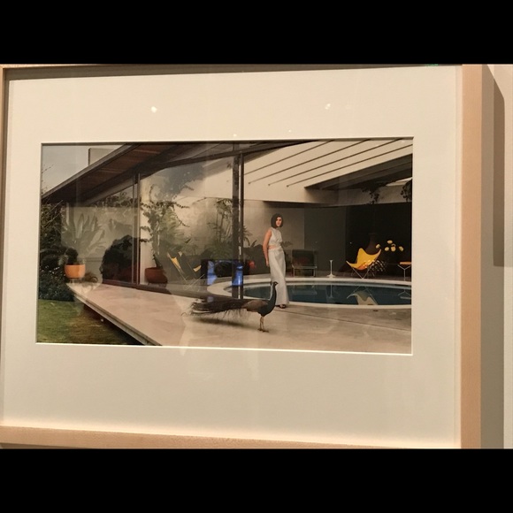 Meet your Posher, Sunny - Picture 3 of 7